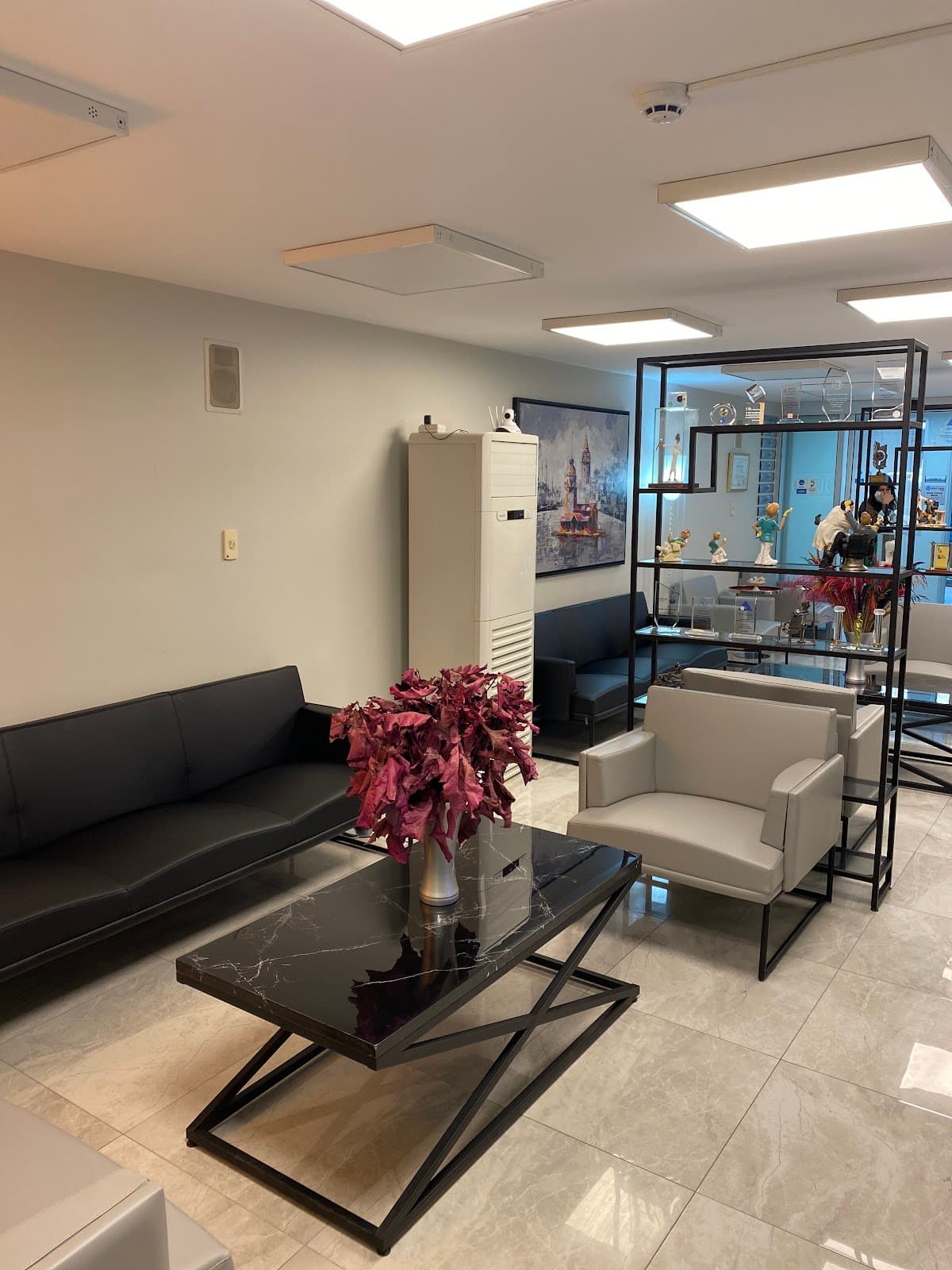 Istanbul Cosmetic Dentistry Clinic