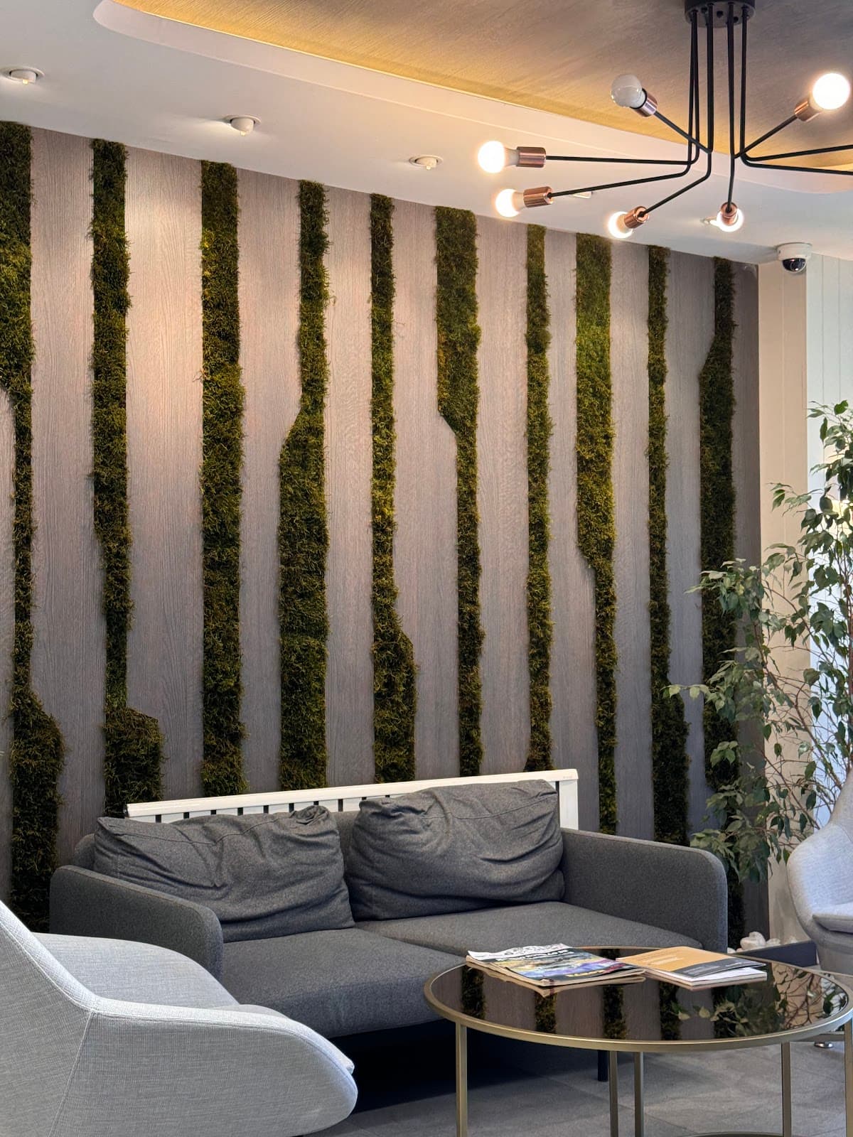 DentBlue International Dental Clinic