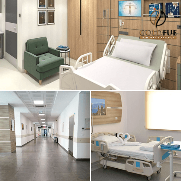 Gold Fue Hair Transplant