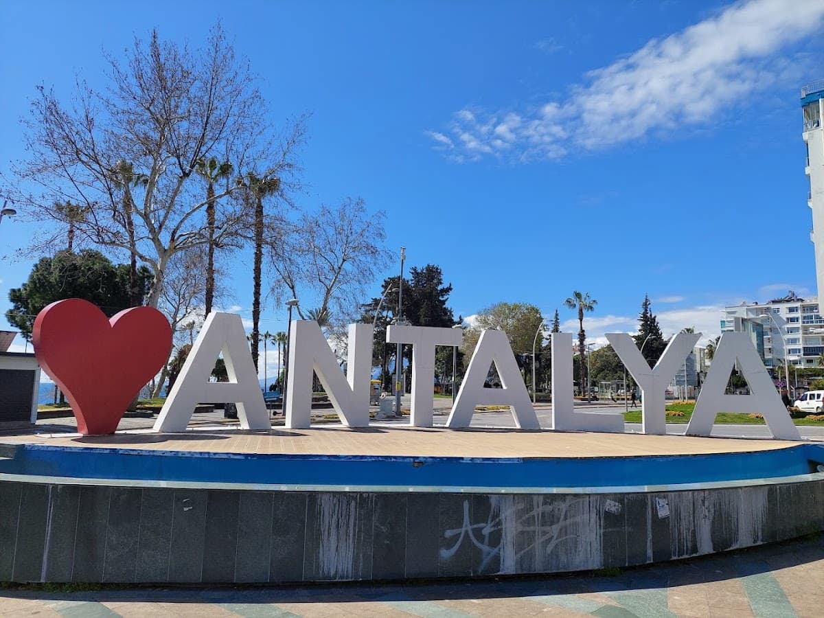 Hair Transplant Antalya