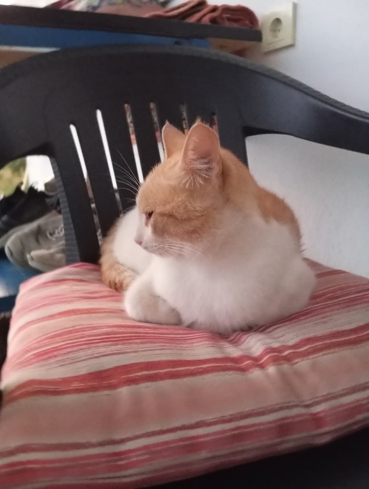 Dt Burak Can Ankara Nöbetçi Dişçi