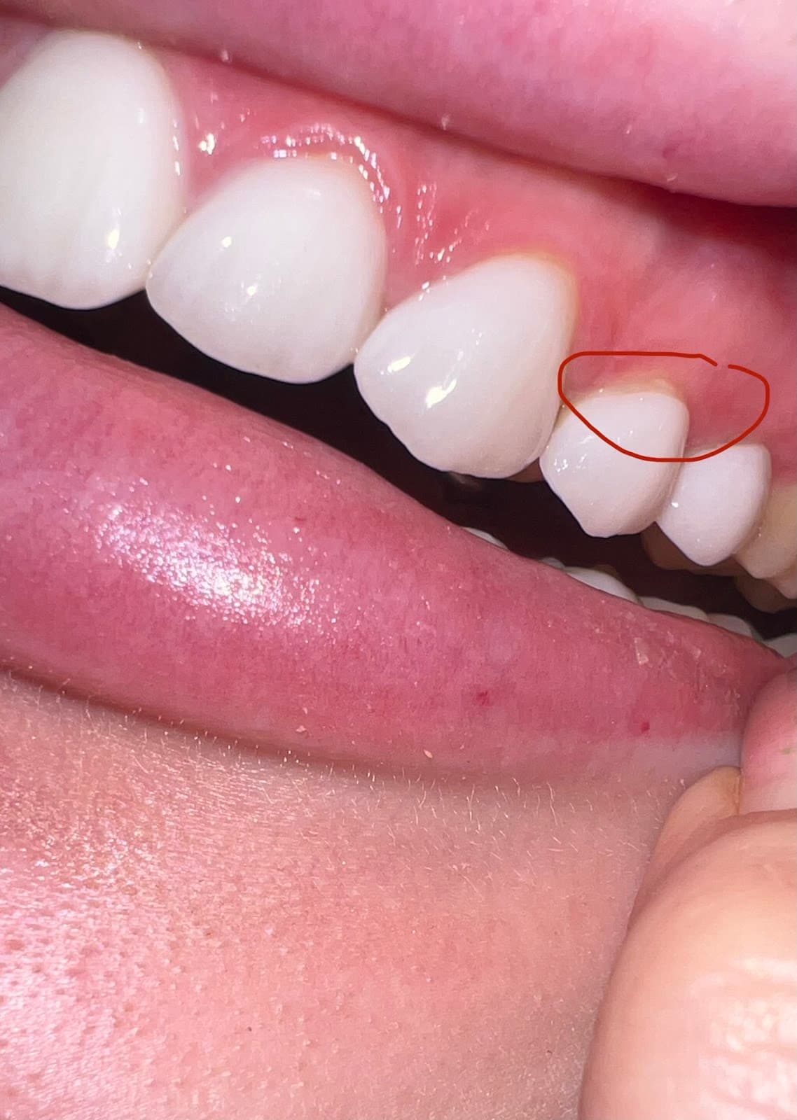 Maltepe Dental Clinic