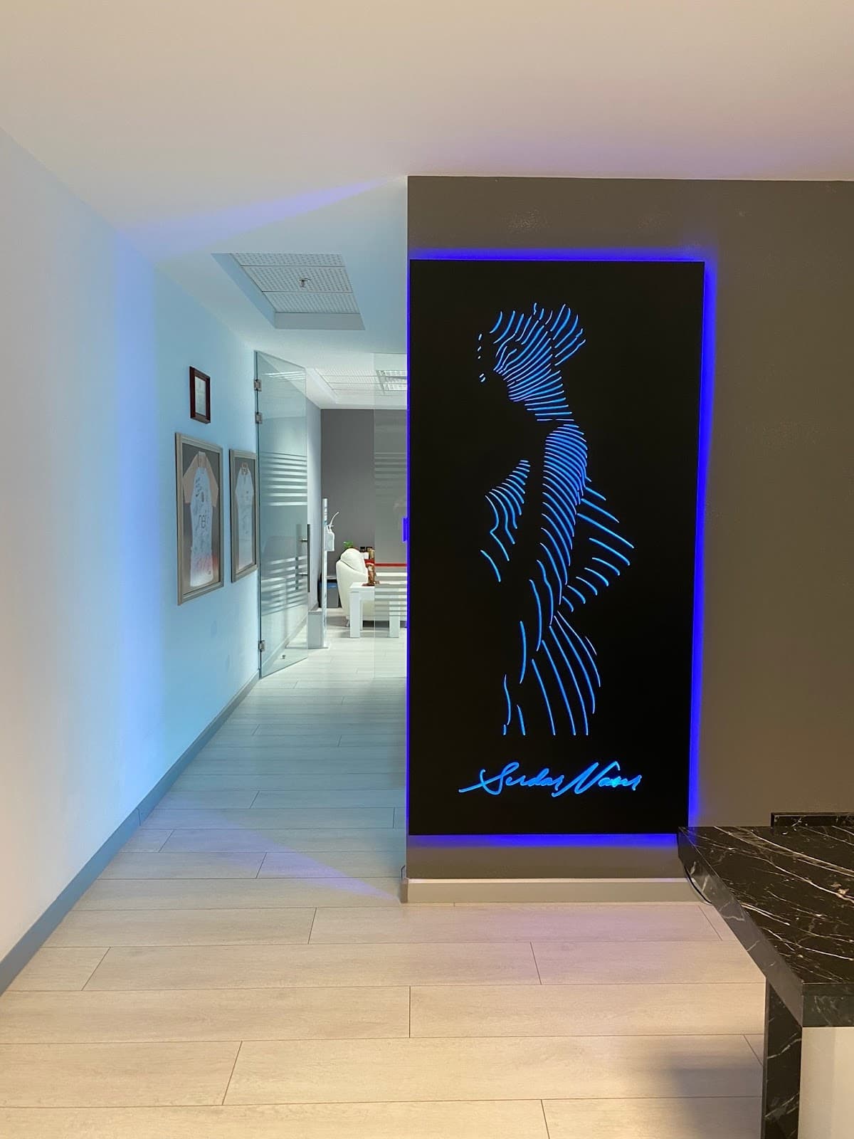 Assoc. Dr. Serdar Nasır