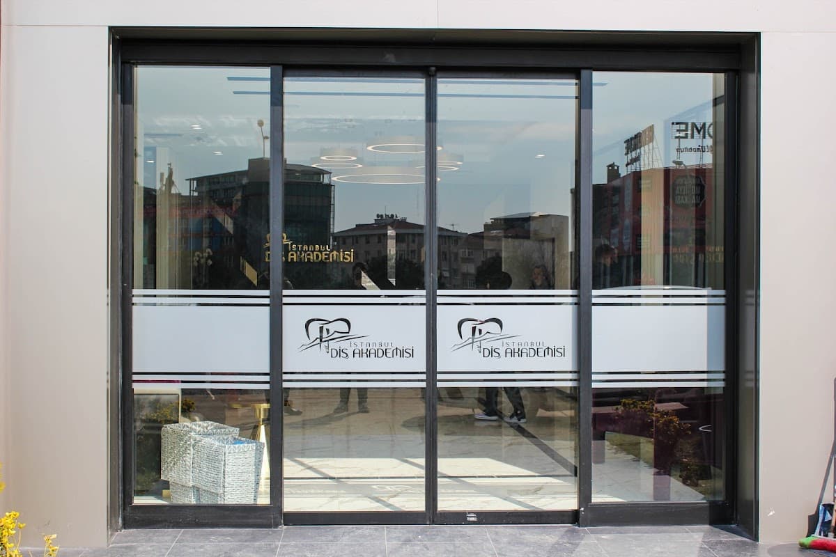Istanbul Disakademisi