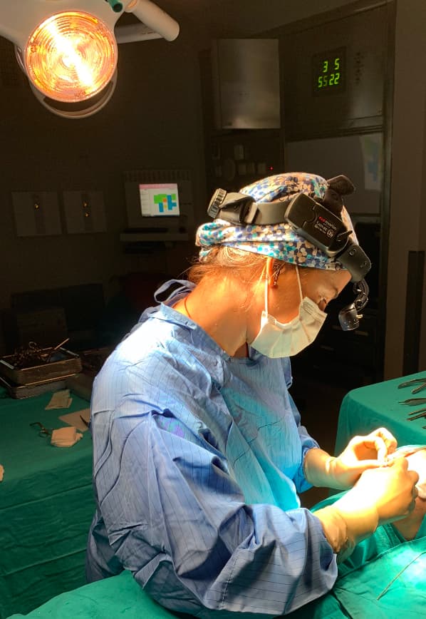 Dr. Elçin Arıtürk