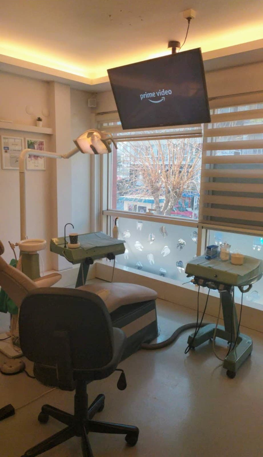 Dentist Erdem Alperen OFLİ