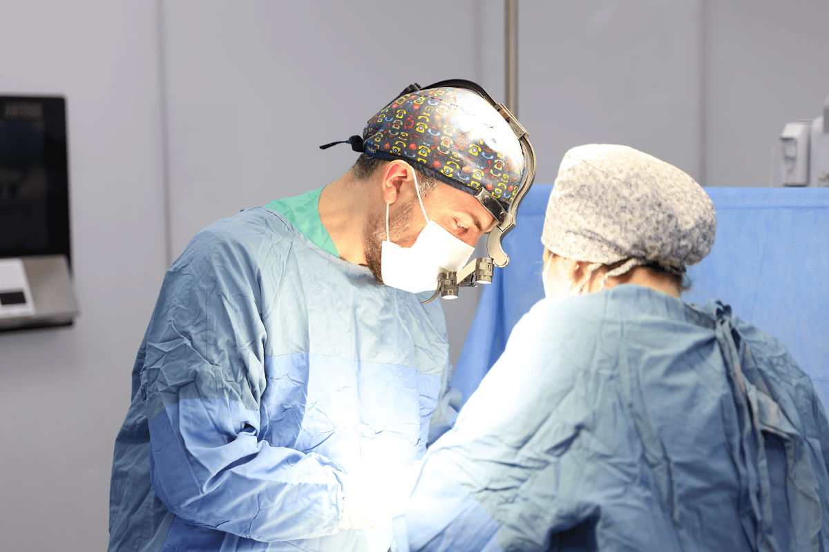 Assist. Prof. Dr. Hüsnü Hacı