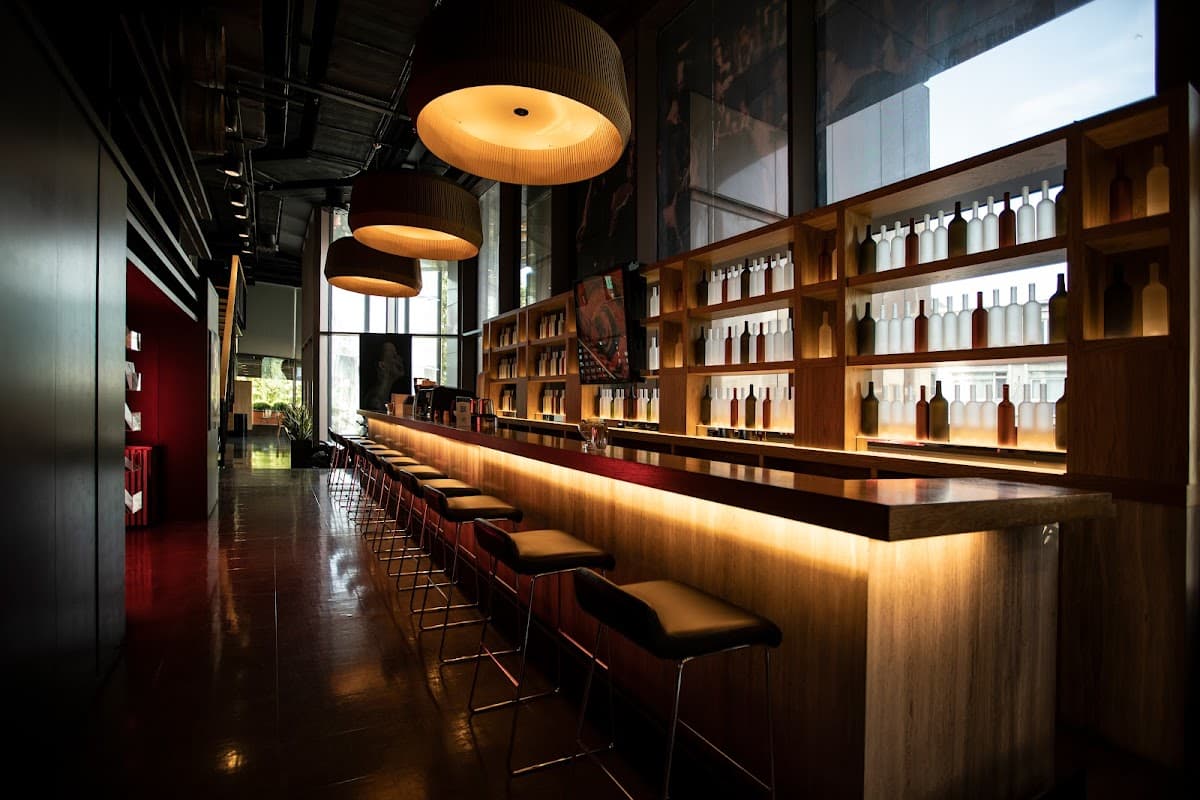 Dr Serhan Derin - ENT Surgeon in Istanbul Turkey