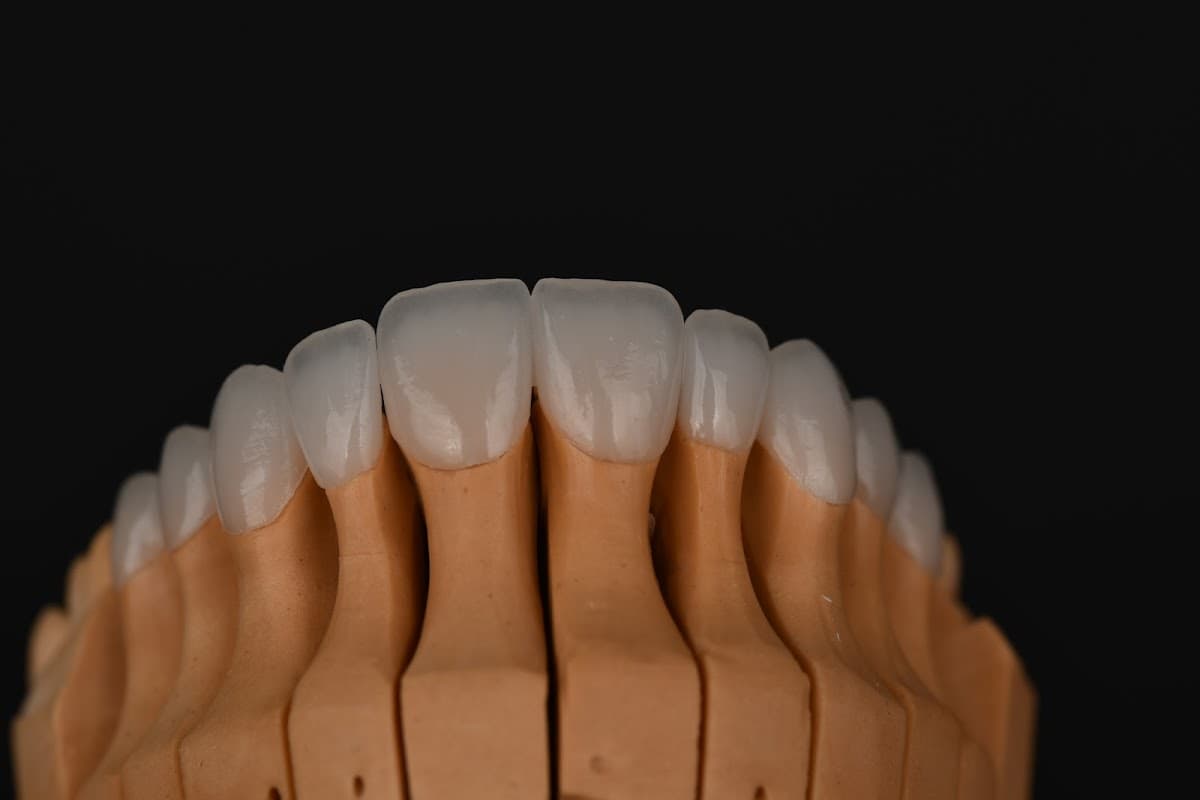 Hollywood Smile Turkey