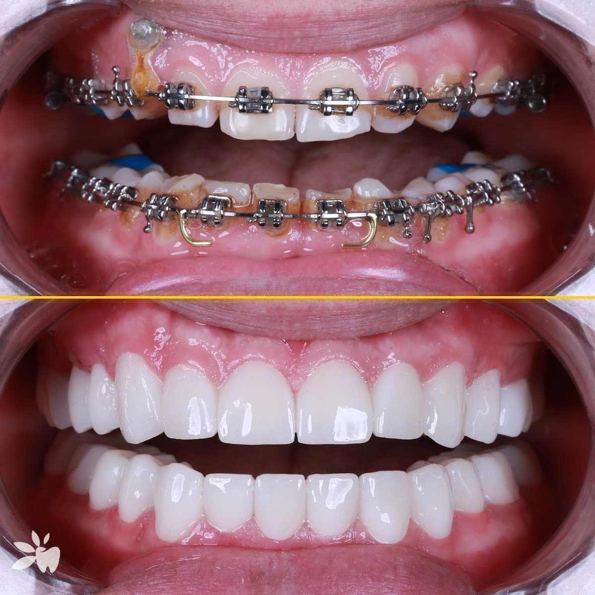 Papatya Dental Hospital