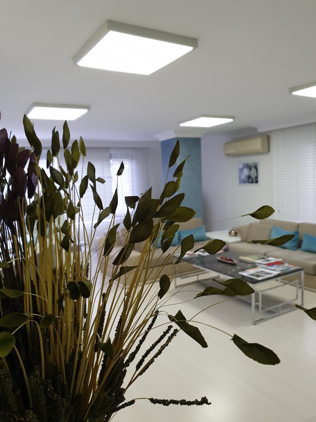 İlhan Serdaroglu Saç Ekim Merkezi İstanbul