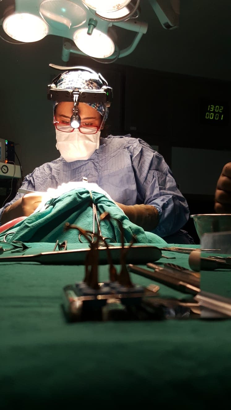 Dr. Elçin Arıtürk