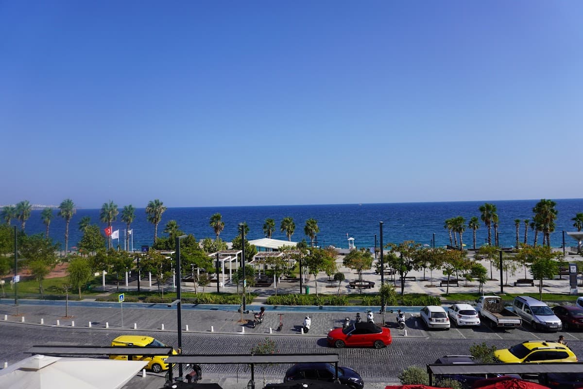 Feridun Elmas MD. Aesthetic Plastic Surgeon