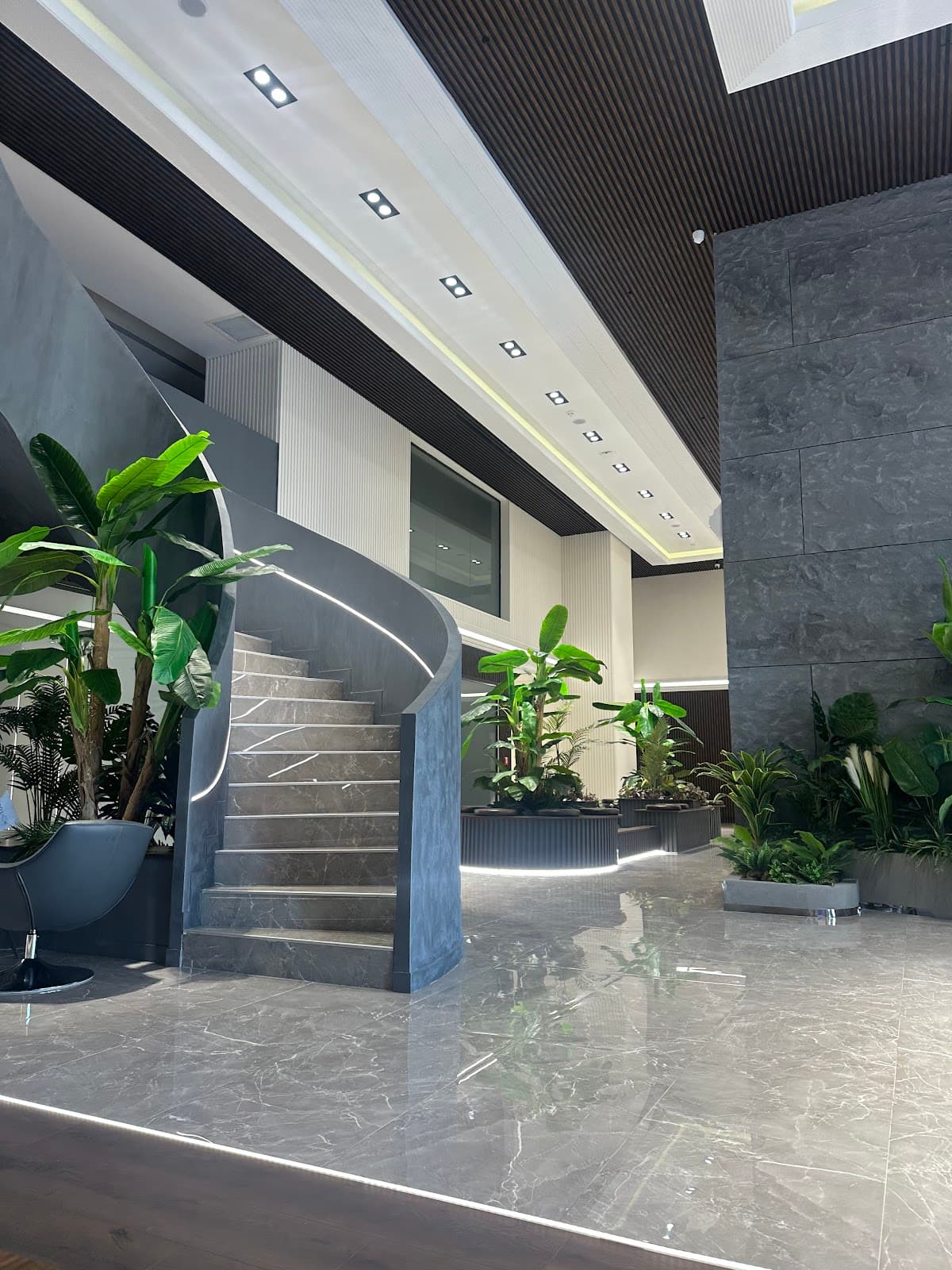 Aestepool Clinic - Dr. Altan Hair transplant Clinic