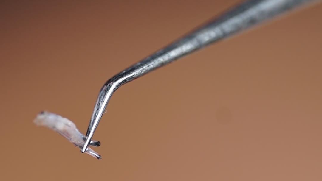 Clean Saç Ekim Merkezi