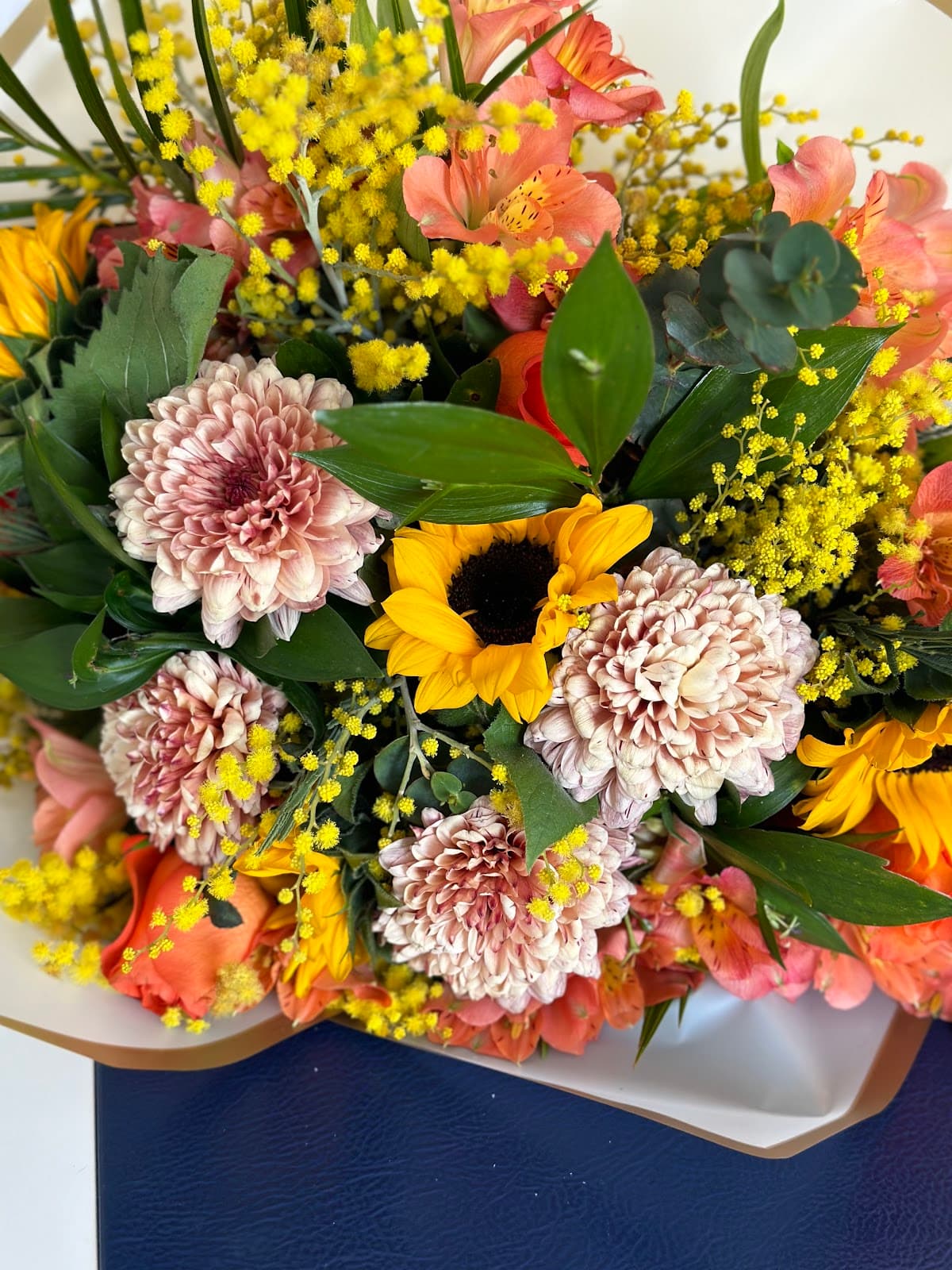 Dermal Clinic | Spc Scion Altıoğlu Avalanche