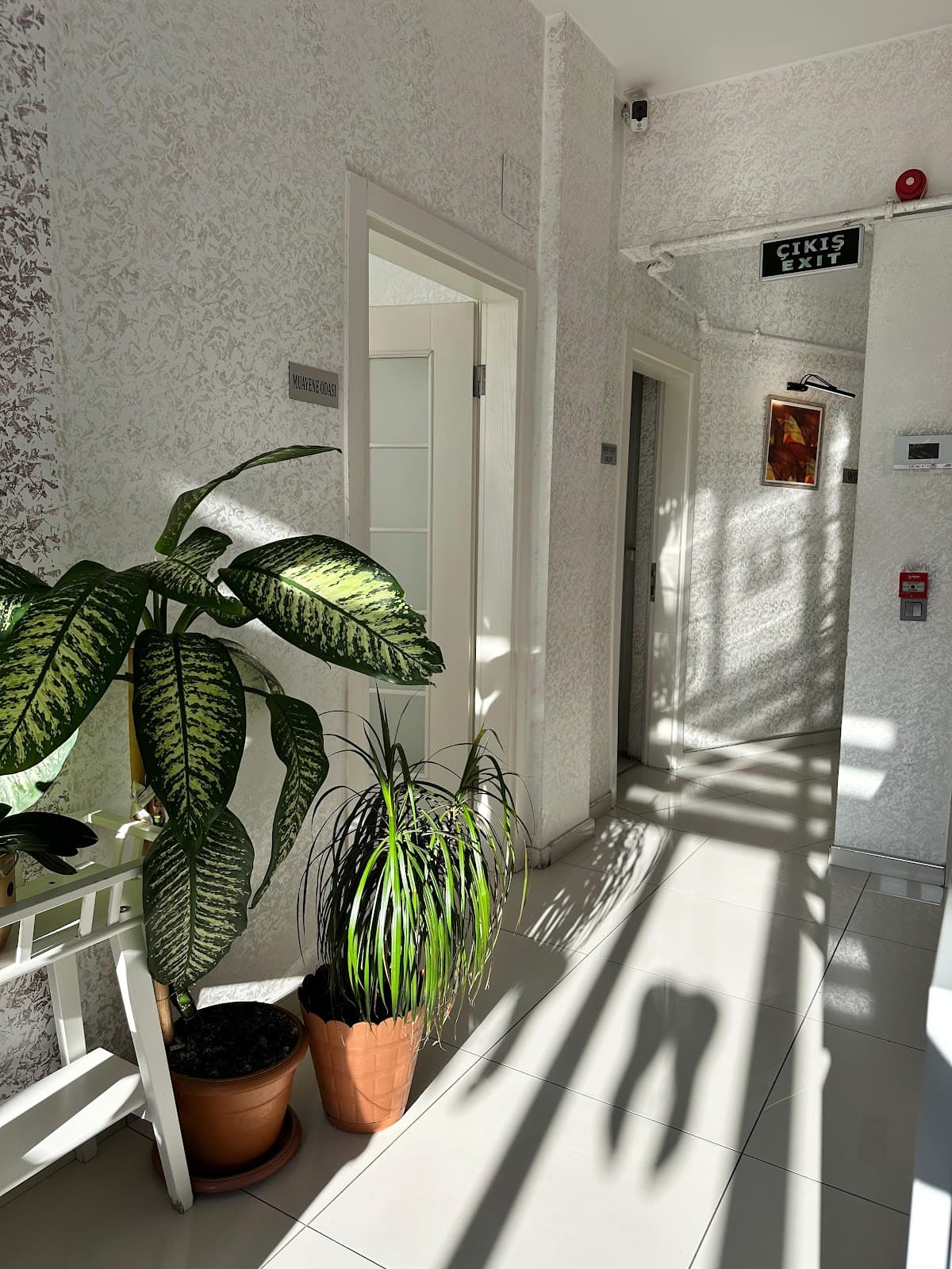 Diş Hekimi Yahya Terlemez