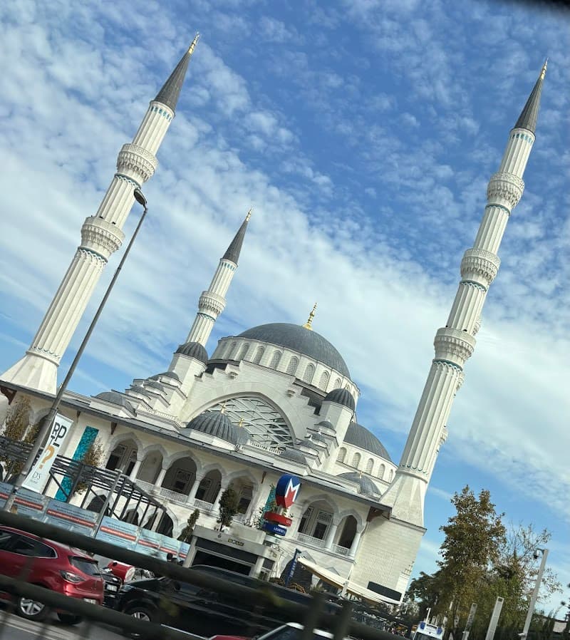 Op. Dr. Ali Sadıoğlu - Photo 3