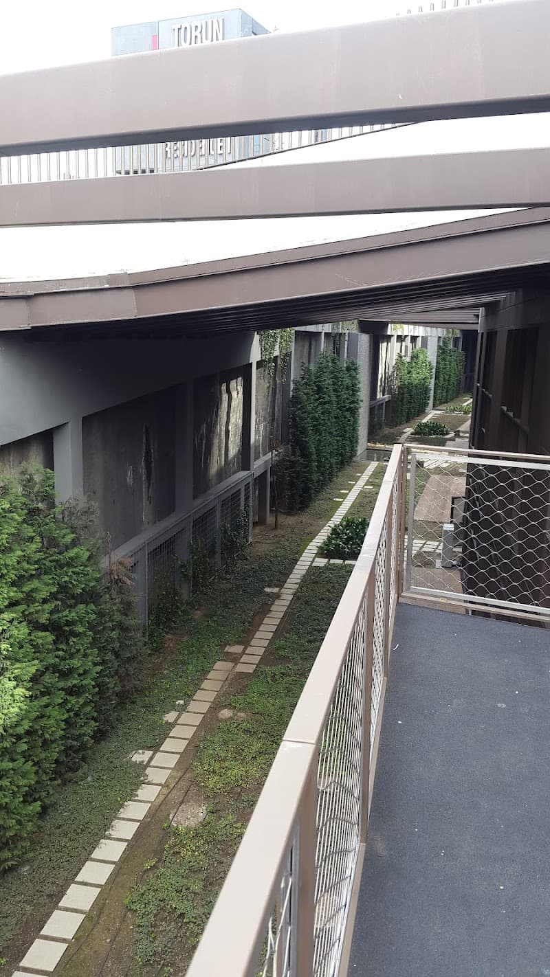 Op. Dr. Alp Aslan - Photo 5